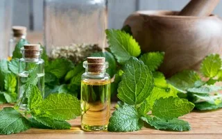 تصویر 2 از خرید عرق نعنا غلیظ + قیمت فروش استثنایی